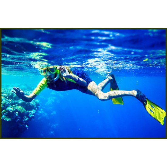 Snorkling (Scuba Diving) - 1 Person